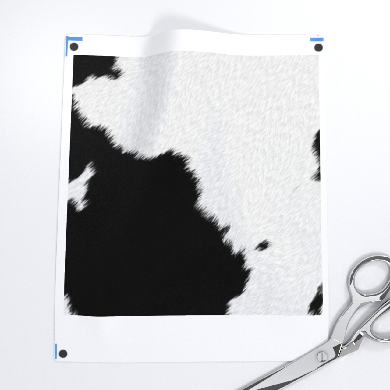 Dairy Cow Faux Hide Animal Print Rodeo Black White Farm Cattle Milk Custom Printed Fabric by Spoonflower Various Fabrics by the Yard or Fat Quarter